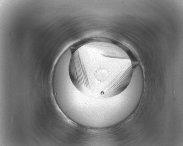 X0000066021392200603312037