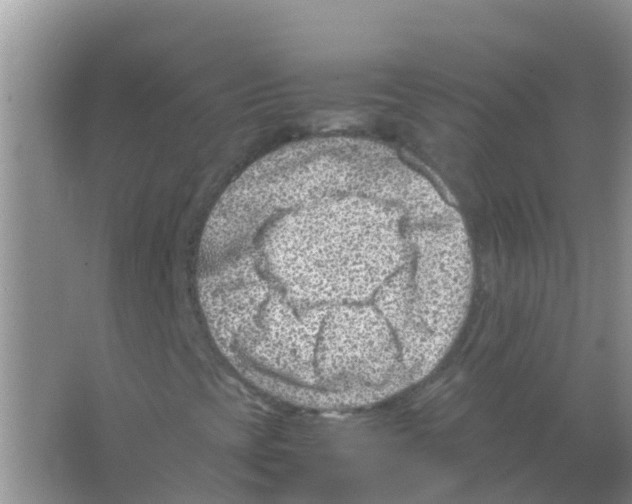 X0000066021393200603312037