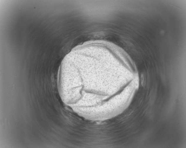 X0000066021395200603312037