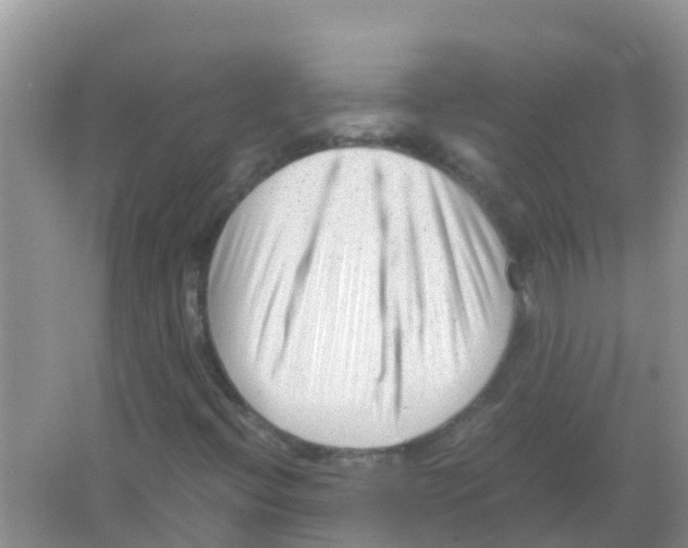 X0000066021396200603312037