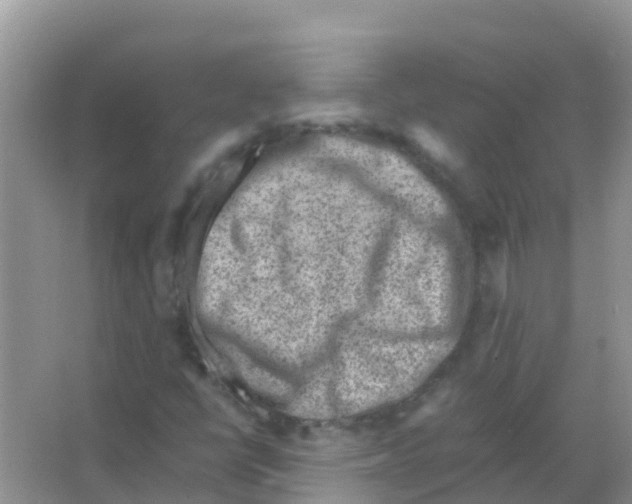 X0000066021398200603312037