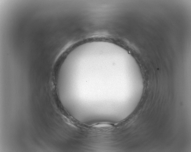 X0000066021400200603312037