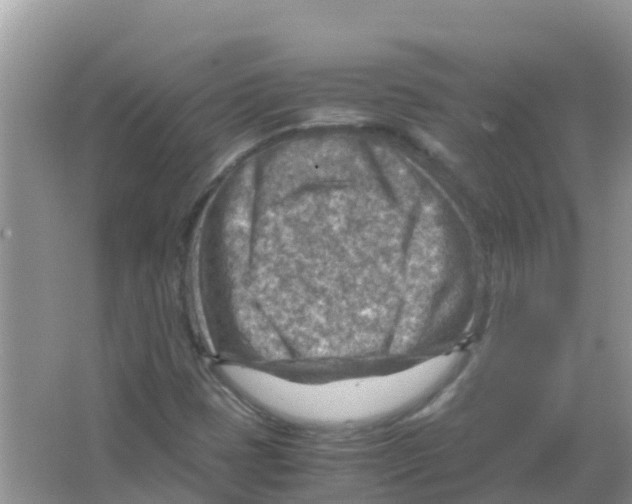 X0000066021401200603312037