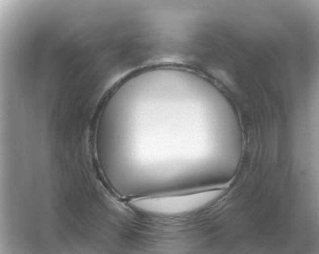 X0000066021404200603312037