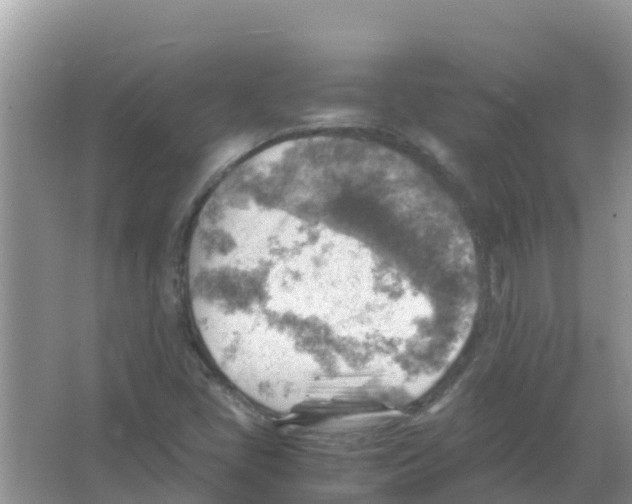 X0000066021405200603312037