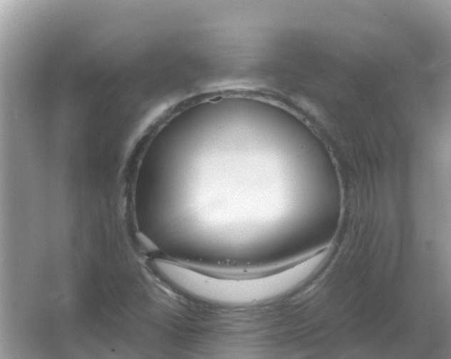 X0000066021406200603312037