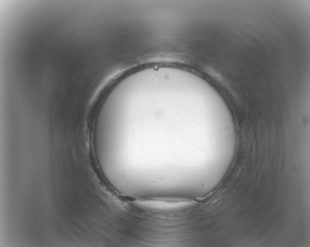 X0000066021408200603312037