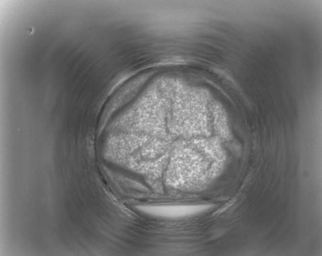 X0000066021409200603312037