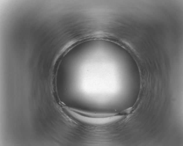 X0000066021410200603312037