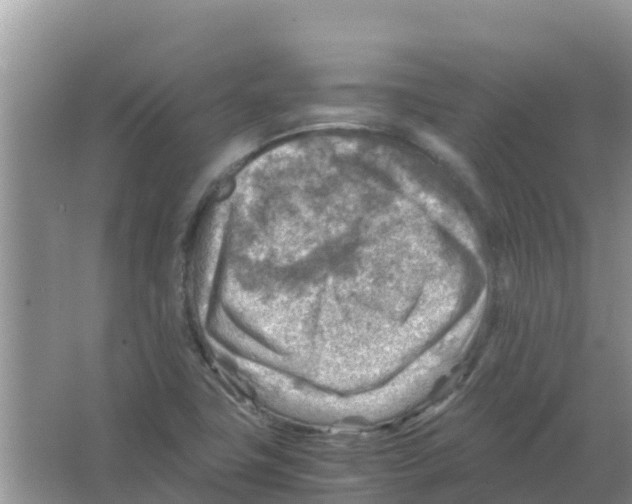 X0000066021411200603312037