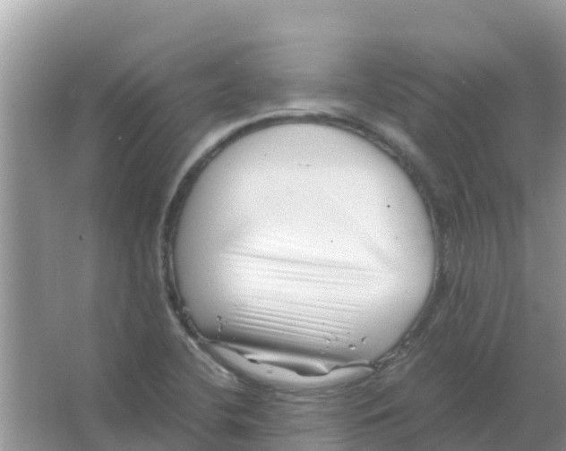 X0000066021412200603312037