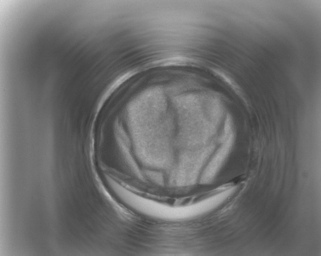 X0000066021418200603312037