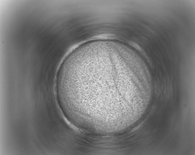 X0000066021421200603312037