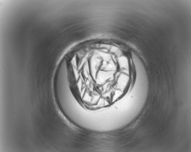 X0000066021422200603312037