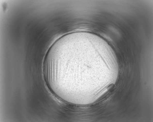 X0000066021423200603312037