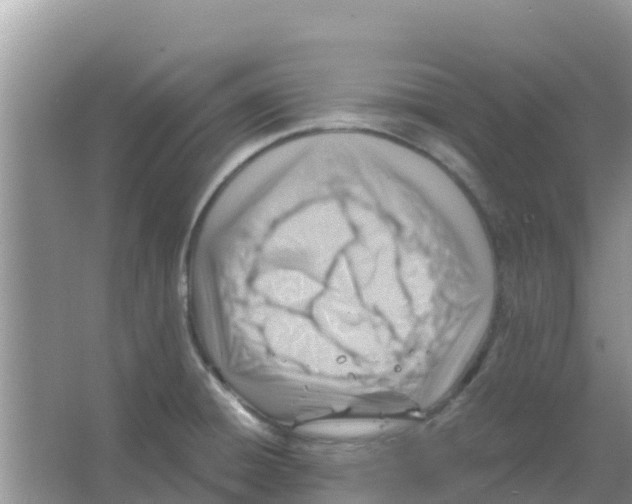 X0000066021428200603312037