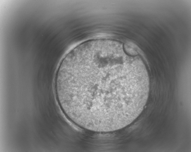 X0000066021429200603312037