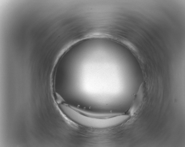 X0000066021430200603312037