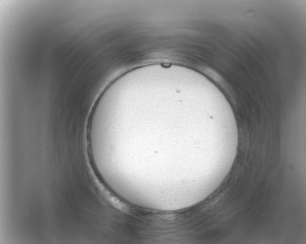 X0000066021431200603312037