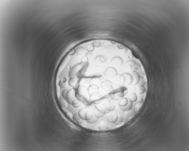 X0000066021432200603312037