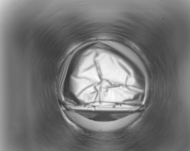 X0000066021433200603312037