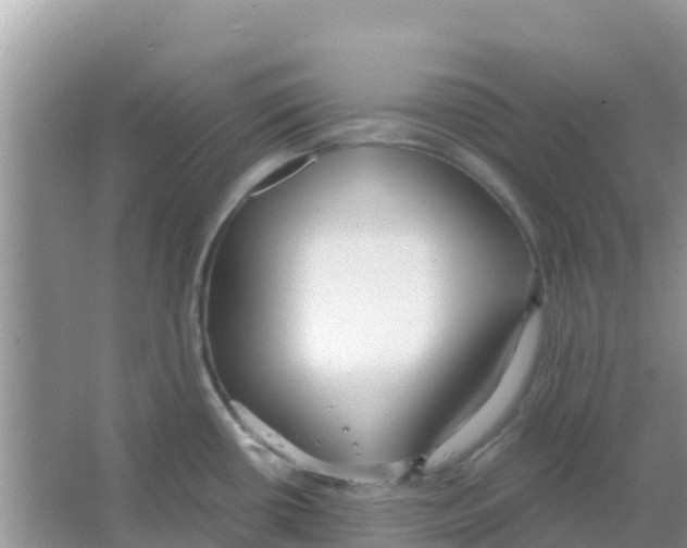 X0000066021434200603312037