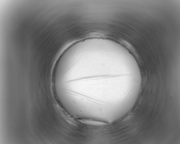 X0000066021435200603312037