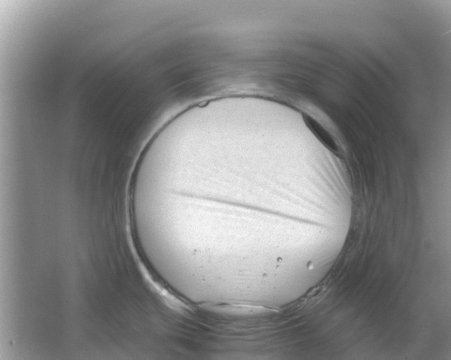 X0000066021439200603312037