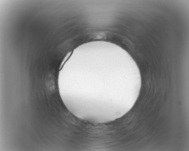 X0000066021442200603312037