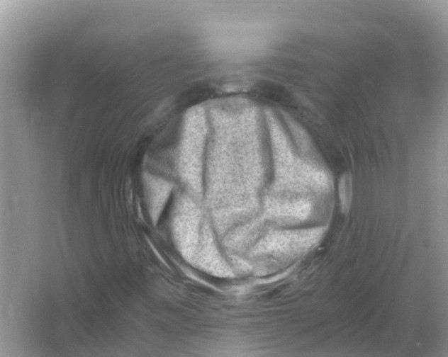 X0000066021443200603312037