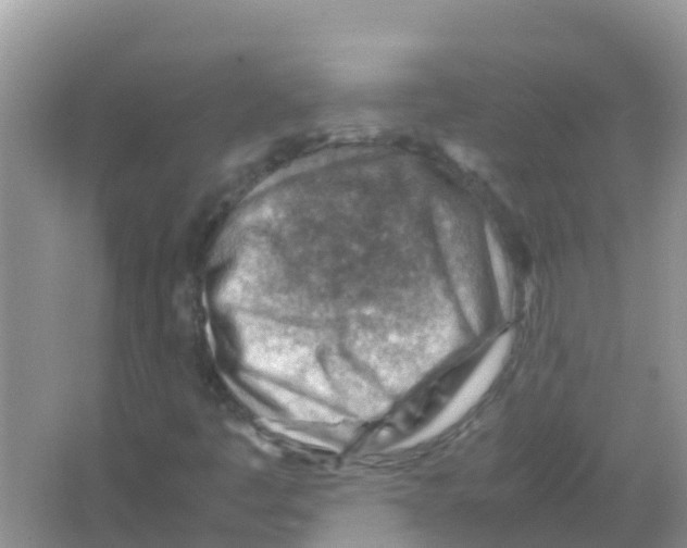 X0000066021445200603312037