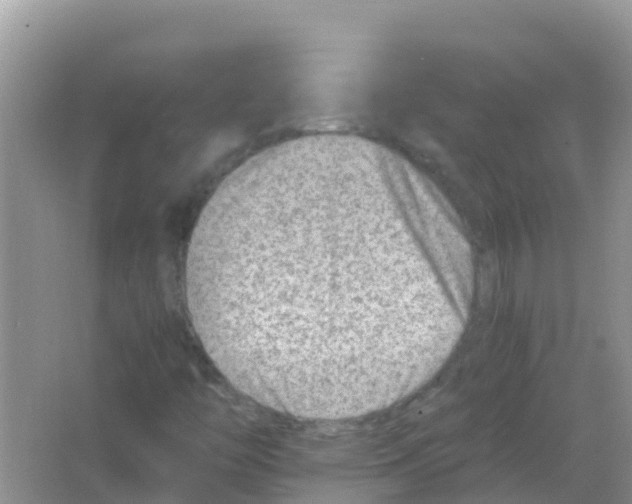 X0000066021446200603312036