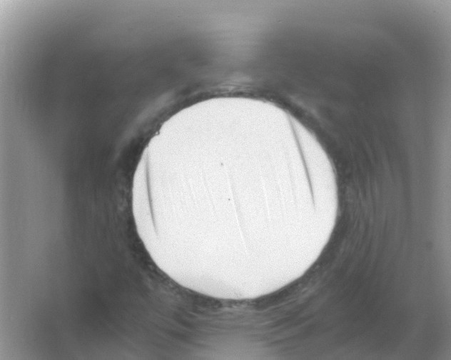 X0000066021447200603312036