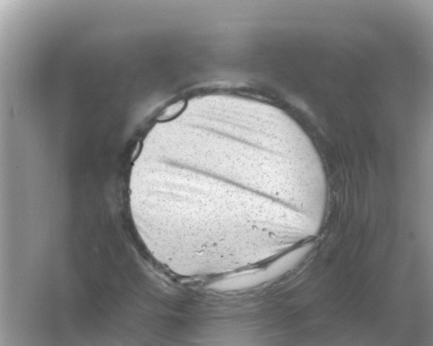 X0000066021448200603312036