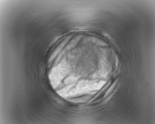 X0000066021449200603312036