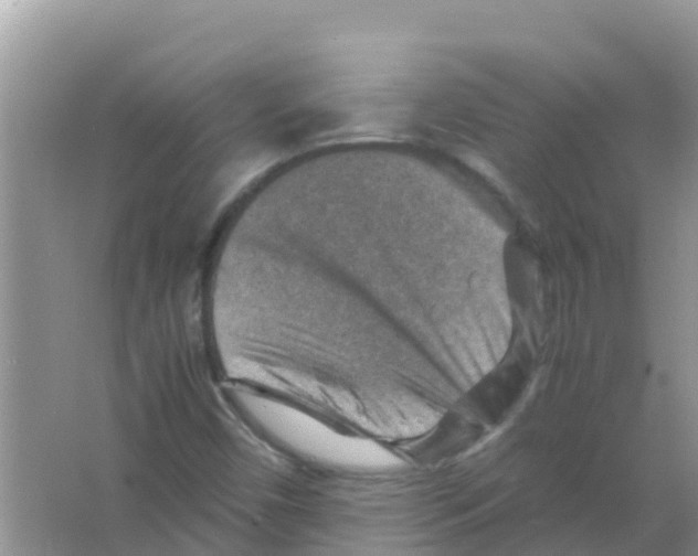 X0000066021450200603312036