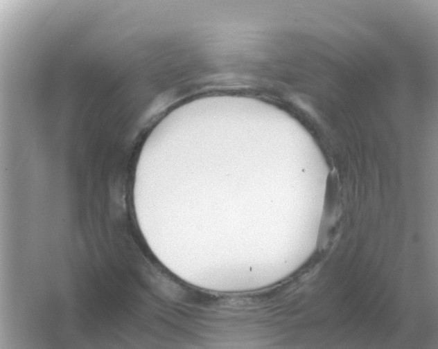 X0000066021451200603312036