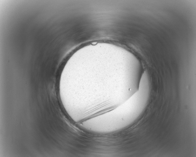 X0000066021452200603312036