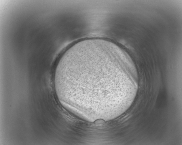 X0000066021454200603312036