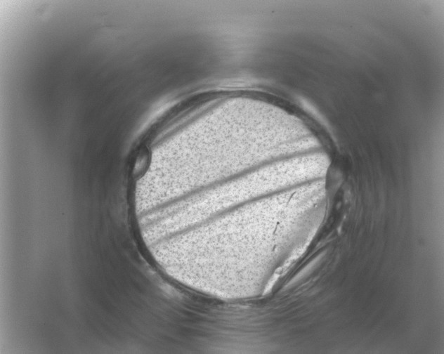 X0000066021456200603312036