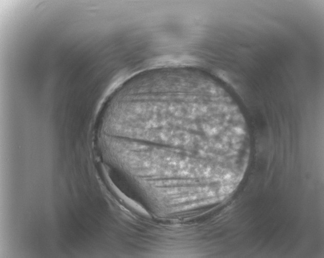 X0000066021459200603312036