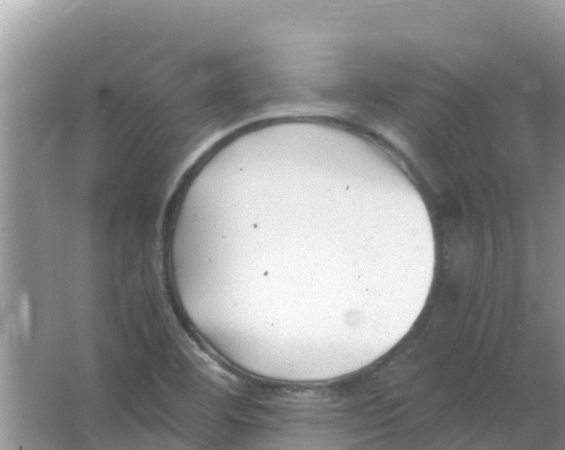 X0000066021460200603312036