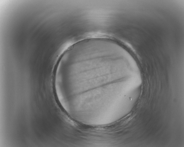 X0000066021463200603312036