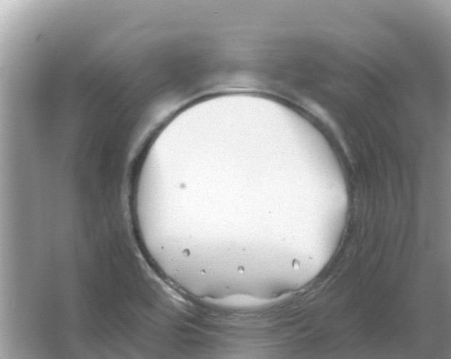 X0000066021464200603312036