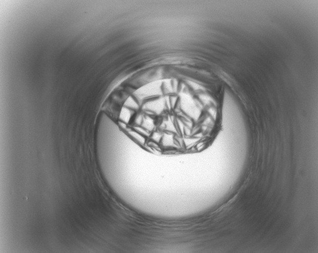 X0000066021465200603312036