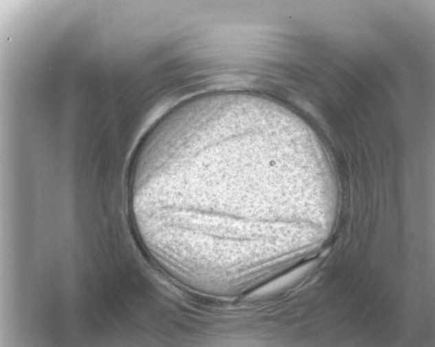 X0000066021467200603312036