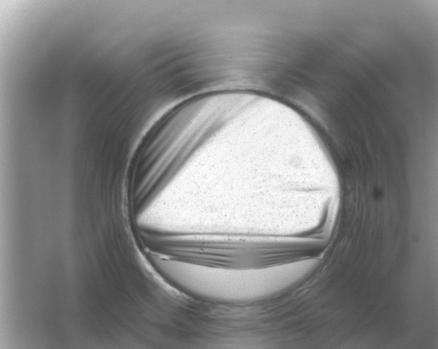 X0000066021468200603312036