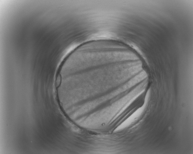 X0000066021469200603312036