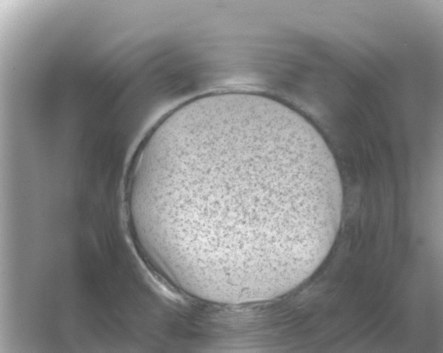 X0000066021470200603312036