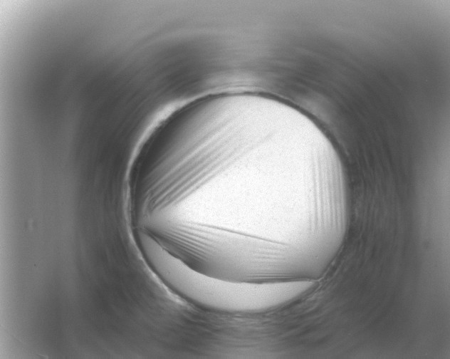 X0000066021472200603312036